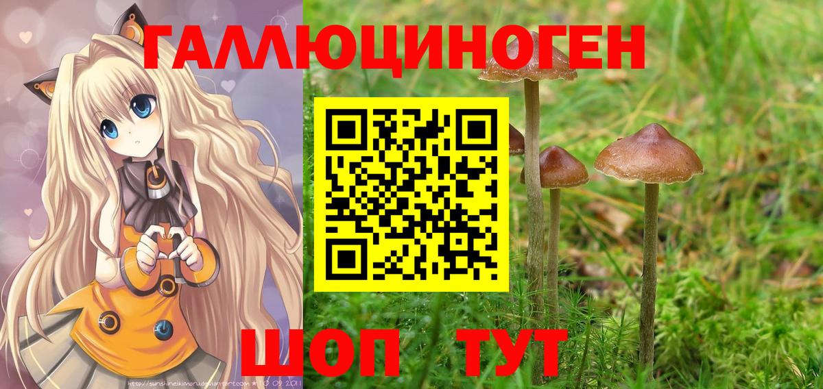 Нижний Тагил  Псилоцибиновые грибы ЛСД  Вход с VPN  магазин продажи наркотиков  Псилоцибиновые грибы ЛСД 